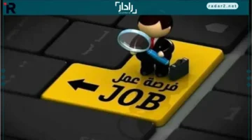 8500 جنيه.. وظائف شاغرة للشباب مع تأمينات وبدل مواصلات في فرصنا الجديدة